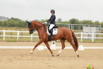 SBM_010099