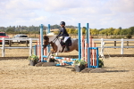 SBM_006216