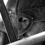 The Shield Wall