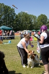 Spirit of the Dog Funday July 2010 portfolio