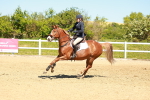 SBM_000990