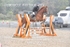 BPP_7590