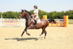 SBM_000337