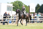 SBM_16176