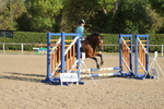 Unaffiliated Show Jumping portfolio