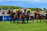 120526-Race 4-Dandy Dinmont-8275