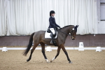 Class 5 - Novice 5 portfolio