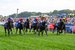 220826-Race 5-Sondad-1083