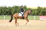 SBM_002872