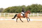 SBM_000692