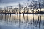 28 December 2015 CIVIC TRUST KNAVESMIRE IN FLOOD - 9 of 9