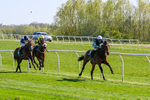 220426-Race 3-Cranachan-0296