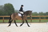 WJ7_4450