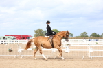 SBM_03315
