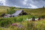 MF2_6648-HDR-Edit