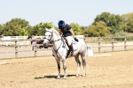SBM_001622