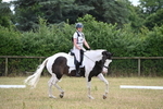 WJ6_5369