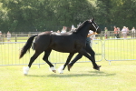 SBM_02375