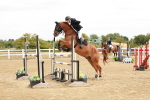 SBM_017311