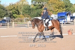 BPP_8012