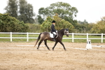 SBM_002594