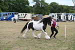 WJ6_5373