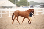SBM_20117