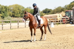 SBM_001363