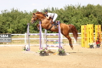 SBM_002231