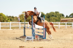 SBM_002987