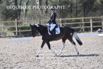 BPP_9651
