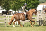 SBM_09766