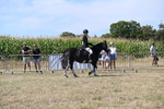 WJ6_8221