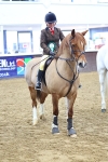 SBM_003695