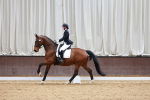 SBM_001615