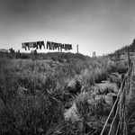 Moorland Washday (square format)