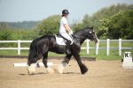 SBM_007872