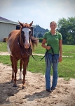 Haleys Horse_002