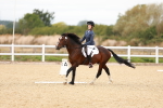 SBM_001335