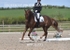 BPP_6331