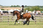 SBM_06945