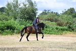 WJ5_8964