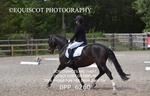 BPP_6260