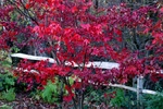 Buchan Park 2 - 03