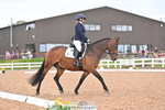 149-Lena.Lee-Ardlea.Chuck portfolio