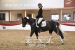 BPP_8936
