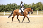 SBM_003980