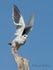 Take-off