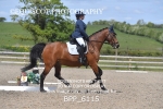 BPP_6115