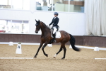 SBM_003628